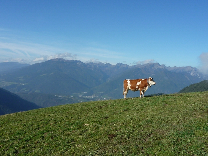 Clubfahrt nach Tirol, 2010